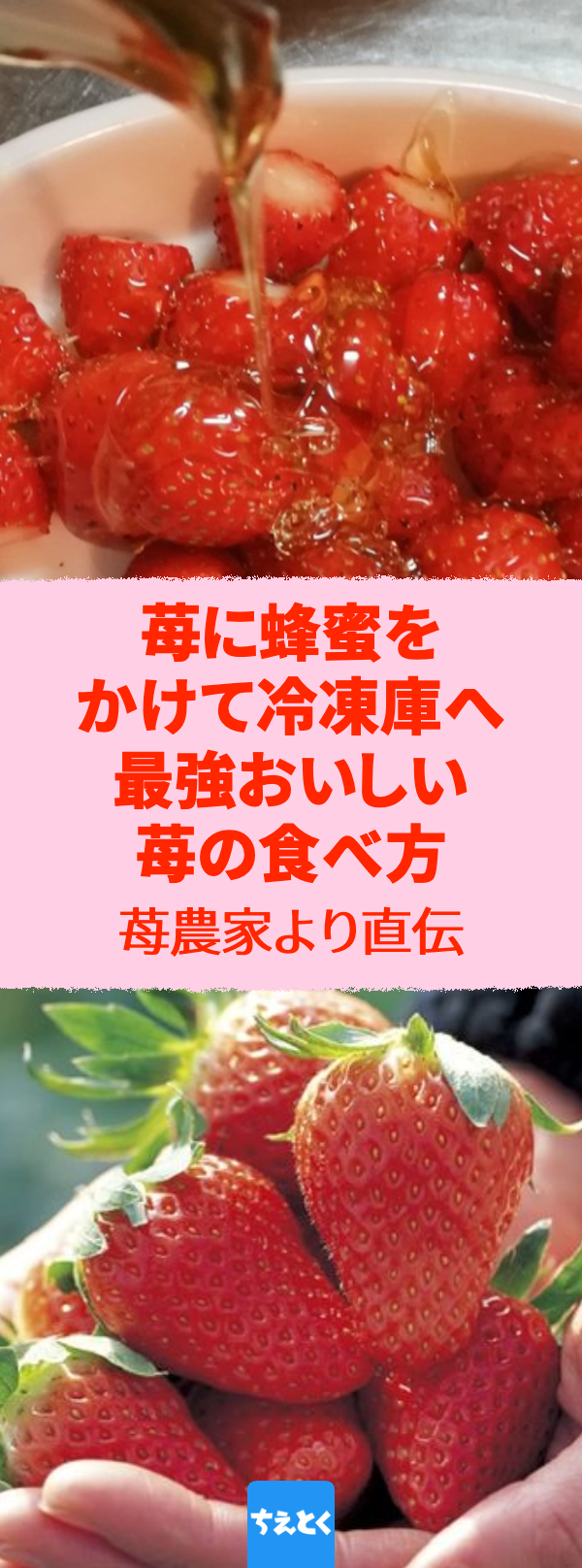 【超簡単】この方法なら苺をめちゃくちゃおいしく食べられる