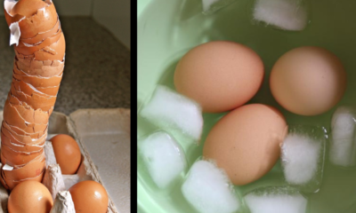 ゆで卵の残り湯活用法