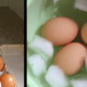 ゆで卵の残り湯活用法