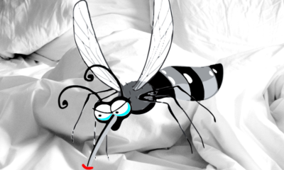 寝室に潜む蚊の退治方法