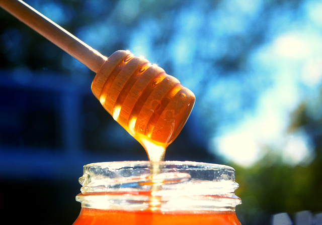 So gesund ist Honig: 6 Anwendungsmöglichkeiten
Honig ist ein vielseitiges Hausmittel. So kann medizinischer Honig beispielsweise zur natürlichen Wundheilung eingesetzt werden.